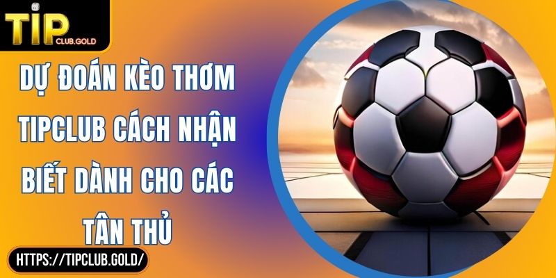 Dự Đoán Kèo Thơm TIPCLUB Cách Nhận Biết Dành Cho Các Tân Thủ
