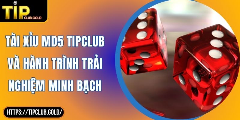 Tài Xỉu MD5 TIPCLUB Và Hành Trình Trải Nghiệm Minh Bạch 1 Tài Xỉu MD5 TIPCLUB Và Hành Trình Trải Nghiệm Minh Bạch