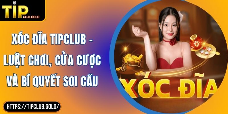Xóc Đĩa TIPCLUB - Luật Chơi, Cửa Cược Và Bí Quyết Soi Cầu